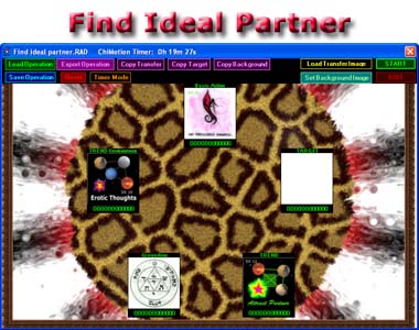find ideal partner